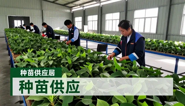 灵动生物科技（舟山）有限公司武汉分公司以农业机械租赁服务连接更多应用场景